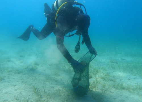 Fotografija 2 - Ronilački klub 'Murter-Kornati' u akciji čišćenja podmorja oko 13 otočića u općini