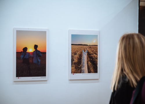 Fotografija 9 - Otvorena izložba 'Volim svoju županiju'