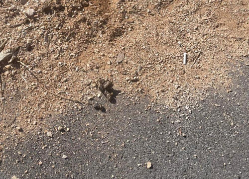 Fotografija 3 - Stanari Jamnjaka ogorčeni: 'Naša ulica pretvorena je u pseći toalet'
