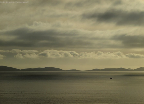 Fotografija 16 - Kapi masline i gušti života: Gurmanske priče s Murtera i Kurnata
