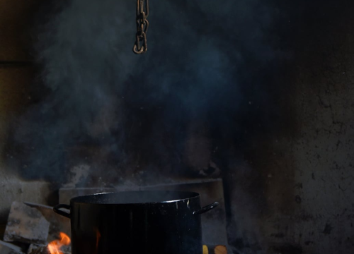 Fotografija 8 - Kapi masline i gušti života: Gurmanske priče s Murtera i Kurnata