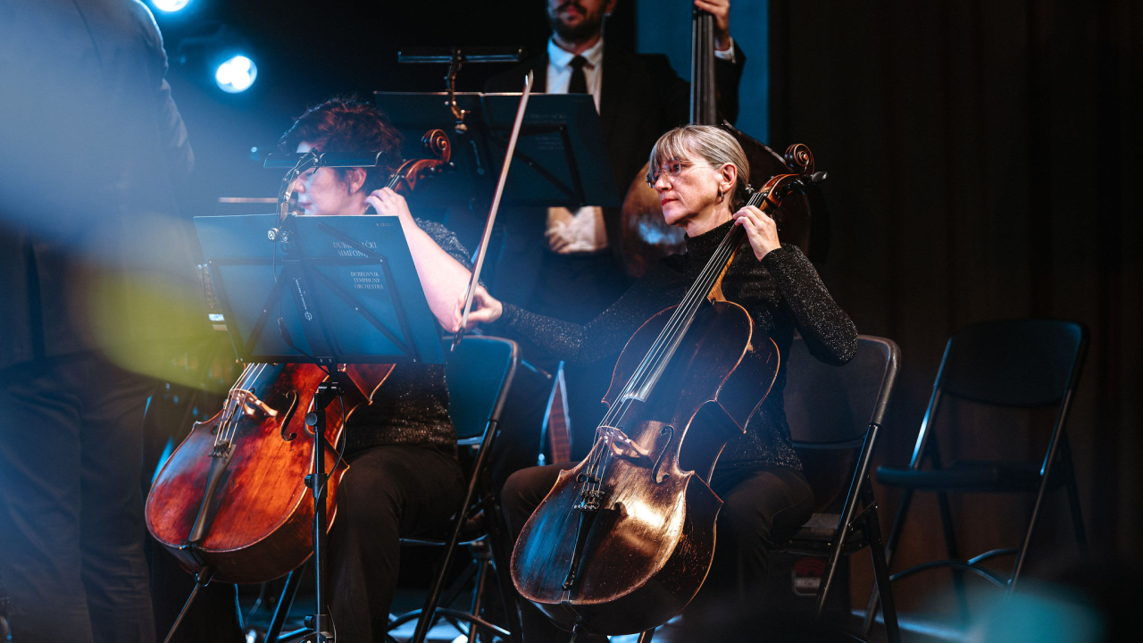 Dubrovački simfonijski orkestar nastupio u Kući umjetnosti Arsen