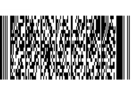 Fotografija 1 - Spašeni psić s Promine traži svoj zauvijek dom, a Šibenske šape pomoć za pokrivanje veterinarskih toškova