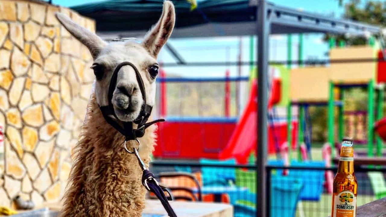 Van grada i u prirodu: Prva utrka Adventure sport lige ove subote u domaćinstvu farme Happy Horse