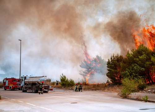 Fotografija 10 - Požar na Bikarcu