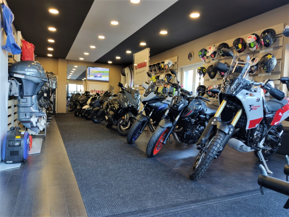 Izaberite nešto baš za sebe iz šarenila cvatnica u Vrtnom centru Dubrava!  