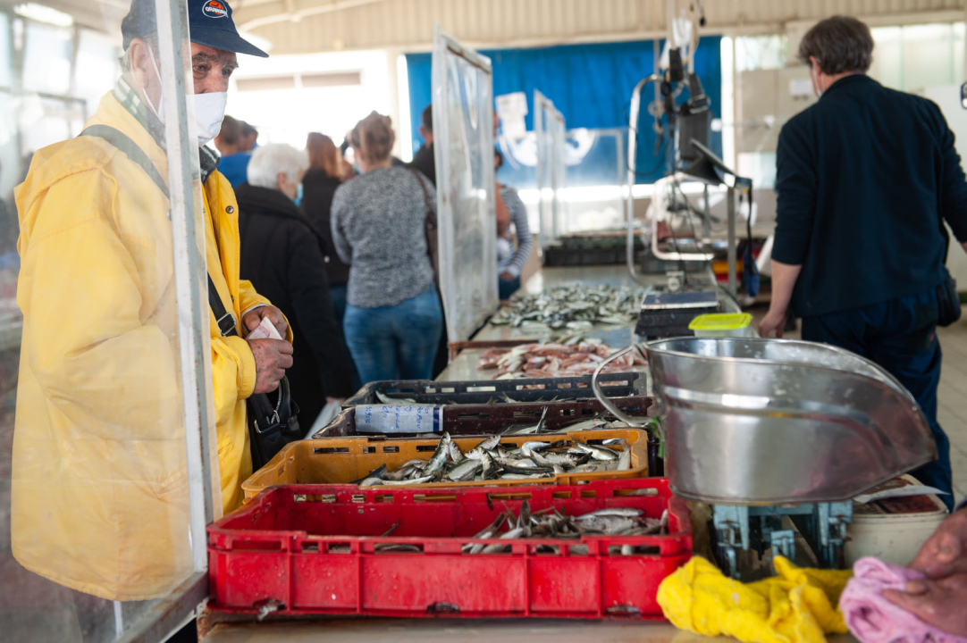 Đir po ribarnici na Veliki petak: 'Uvik je na današnji dan bila gužva, čekalo se u redu za uć po dobru ribu, a vidi sad, ništa'