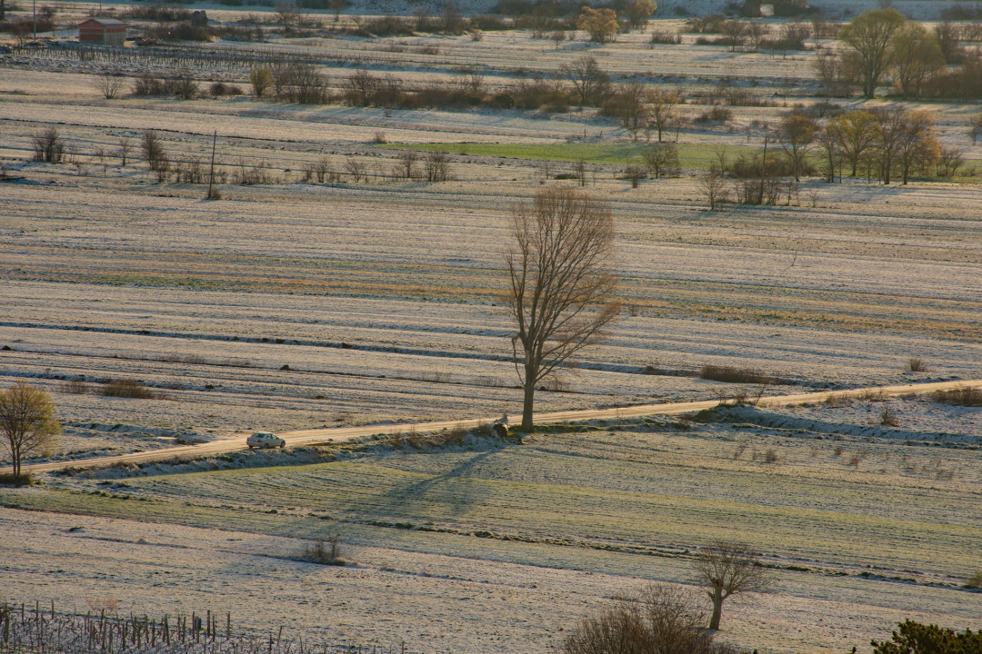 Sve je ljepše pod snježnim pokrivačem: Možete li pogoditi gdje su u županiji jutros snimljeni ovi prekrasni kadrovi?  