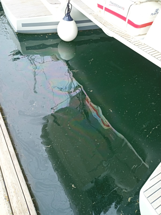 More u Mandalini i dalje prekriveno naftnom mrljom: 'Ovo je sramota za naš turizam'