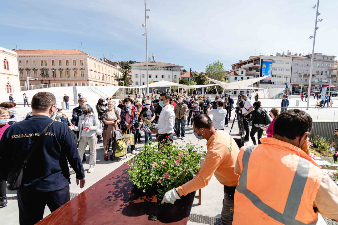 Umirovljenički stampedo za sadnice đirana na Poljani: ‘Gužva je veća za cvijeće nego za cijepljenje’