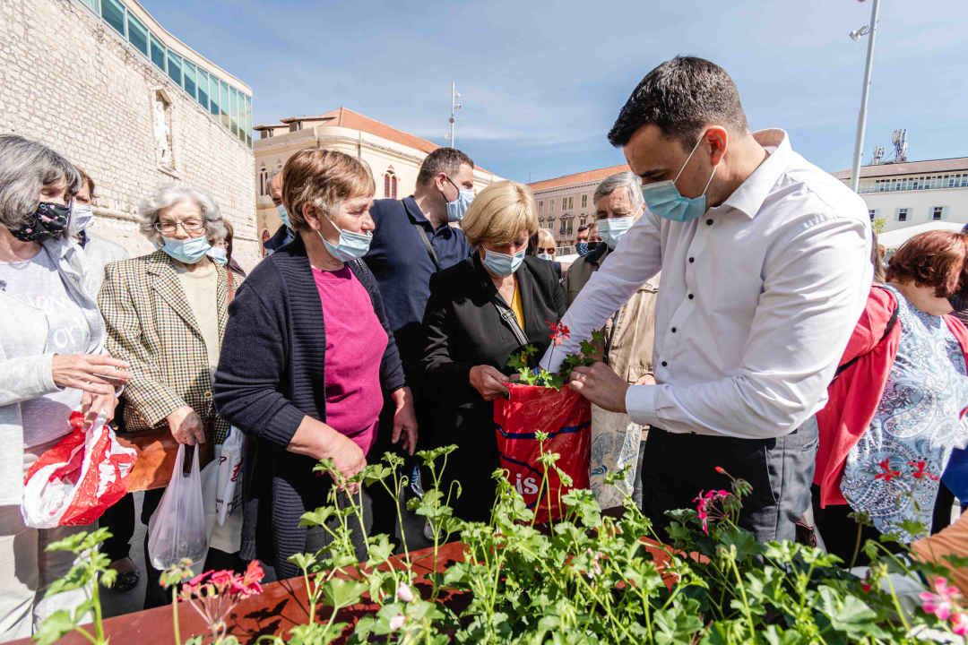 Umirovljenički stampedo za sadnice đirana na Poljani: ‘Gužva je veća za cvijeće nego za cijepljenje’