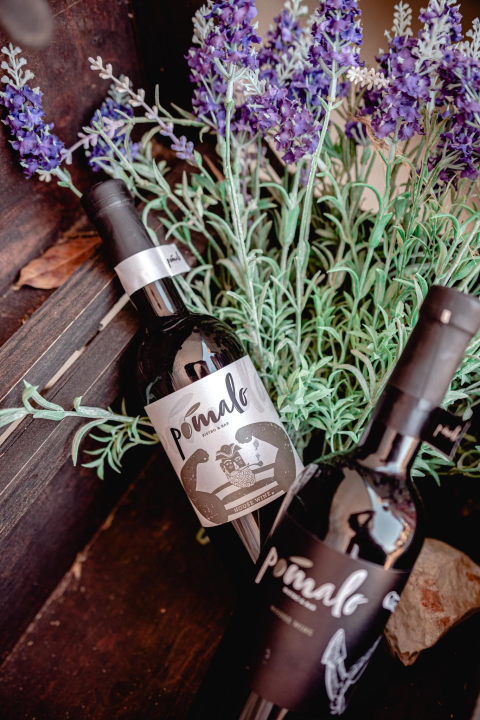 Priuštite si prekrasne trenutke na prozračnoj terasi Pomalo Bistro &amp; Bara u Žaboriću! 