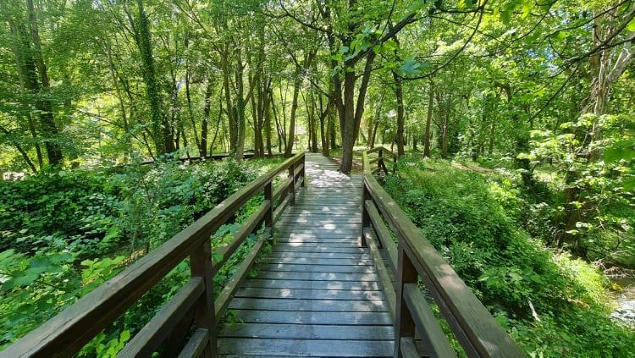 Proveli smo Majčin dan na Skradinskom buku uz ljepote Majke prirode