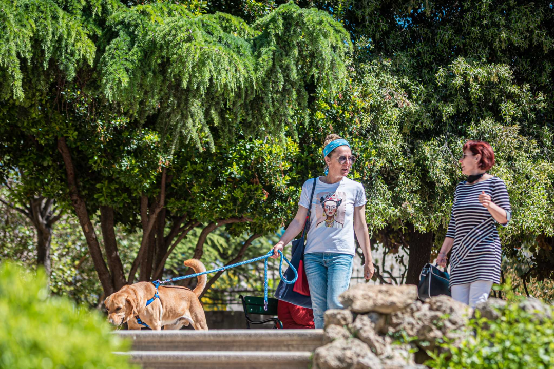 FOTO Đir po gradu, ponedjeljak 10. svibnja