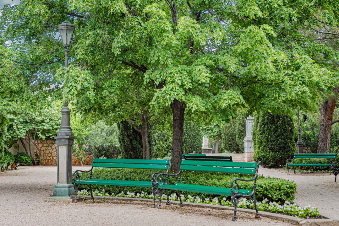 Zeleni grad u đardinu postavio edukativne table: Stabla na rivi i Poljani tretirali protiv nametnika 