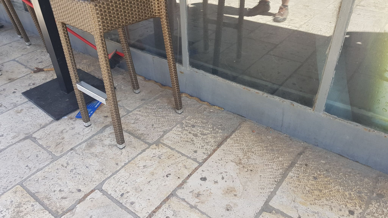 Zmija dogmizala do štekata na Baldekinu: 'Odmah je postala atrakcija!'