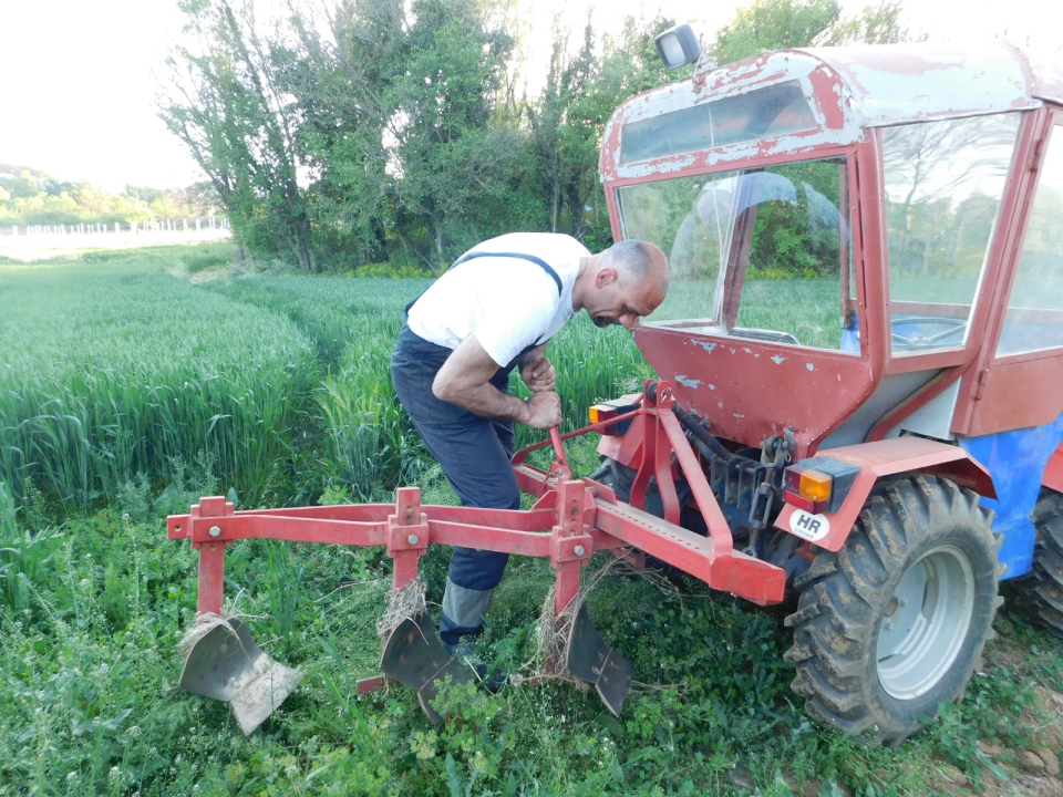 Tko je zapravo Marko Jelić? Obiteljski čovjek, znanstvenik, vinogradar i zaljubljenik u svoj kraj…