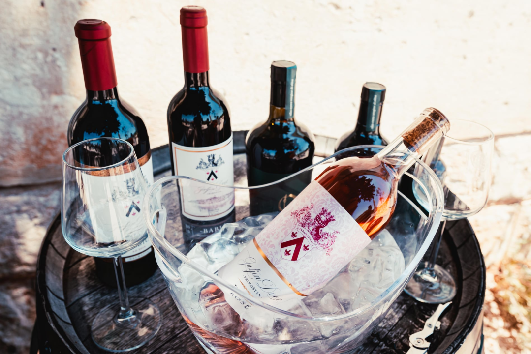 Taste Like Dalmatia: Još danas imate priliku kušati vrhunska vina, maslinova ulja i craft pive, a u subotu na šibenskoj rivi čekaju vas pidoče i debit!