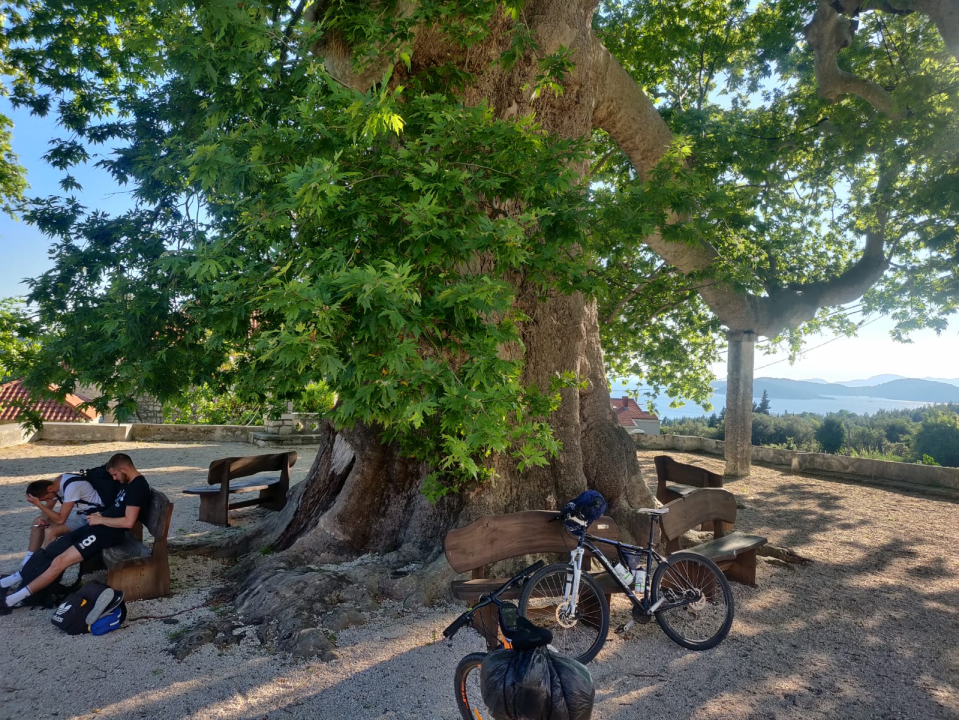 Tomislav, Stipe i Ivan odvozili 1000 kilometara od Savudrije do Prevlake za korisnike kninske udruge