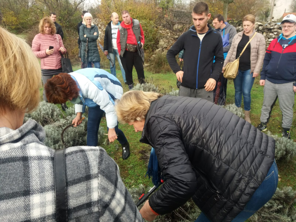 Iz udruge EMEDEA pozivaju nezaposlene da se prijave na besplatan program obrazovanja odraslih!