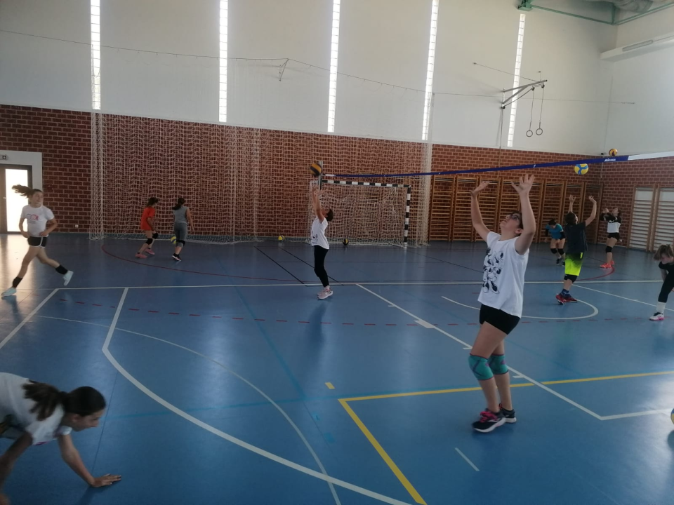 OŠ Meterize u projektu 'Odbojka u školama': Prva aktivnost pokazni trening i deset lopti za poklon