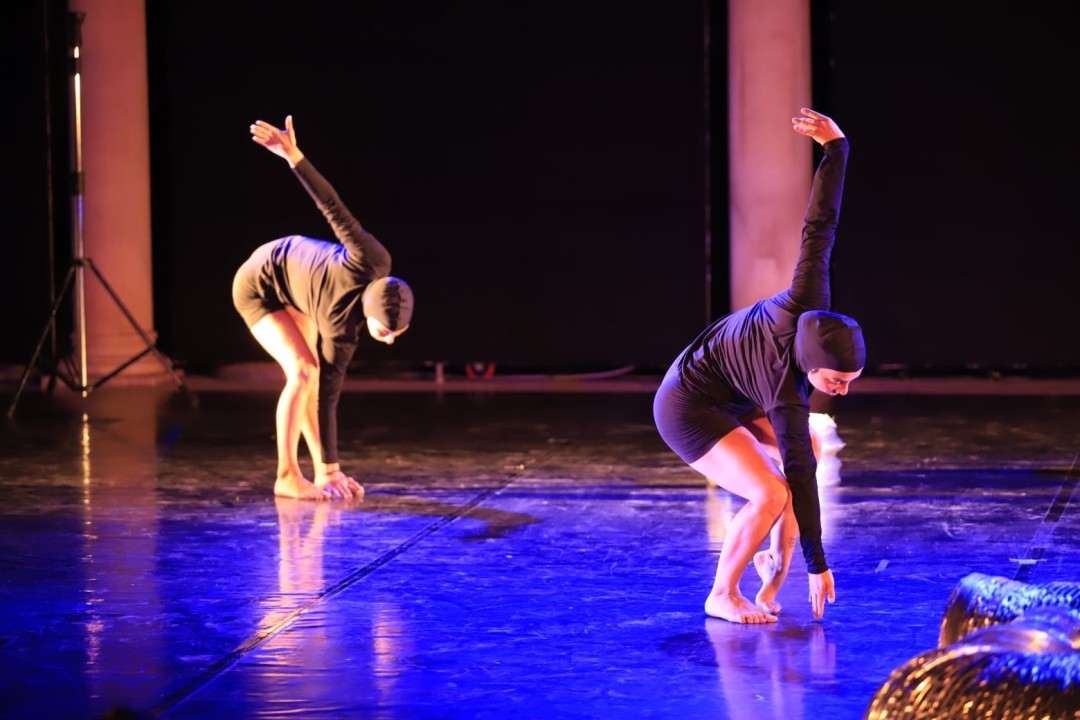 Izraelski plesači na MDF-u: 'Podsjećali su me na moj mozak tijekom testa iz matematike'