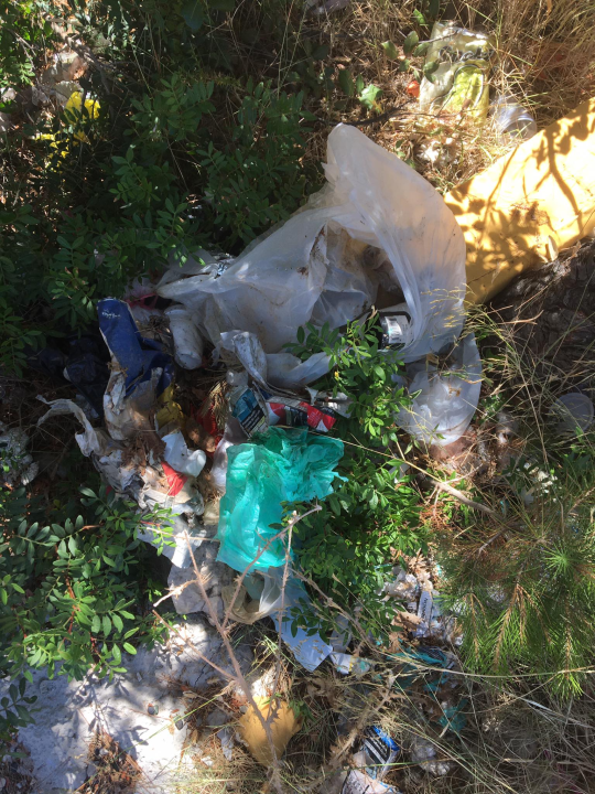 Ne treba nam projekt za TEF, Šibenčani znaju što s njim: Smeće, otpad, odbačeni mačići...