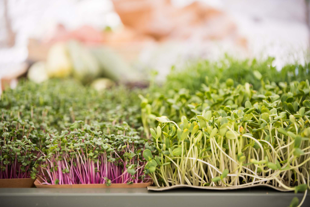 Mala loža u novom ruhu: Provjerite ponudu lokalnih OPG-ova na Zelenoj tržnici!