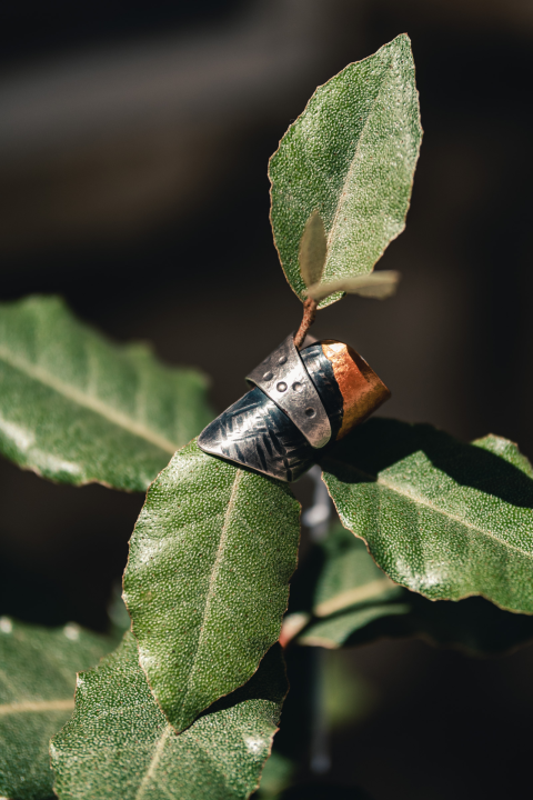 Ljeto u Galeriji Juraj Dalmatinac u znaku veselih riba, bezvremenskog nakita i poznatih umjetnika!