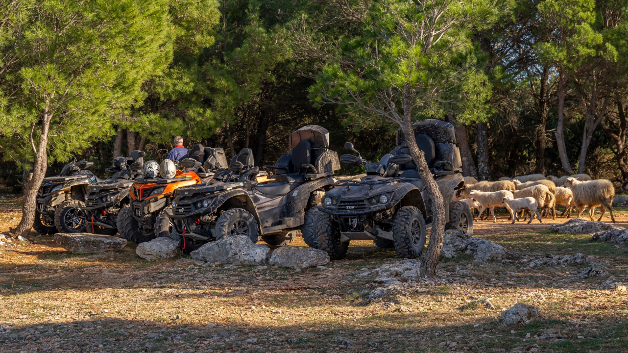 Iskoristite popust za domaće i upustite se u jedinstvenu avanturu quadovima!