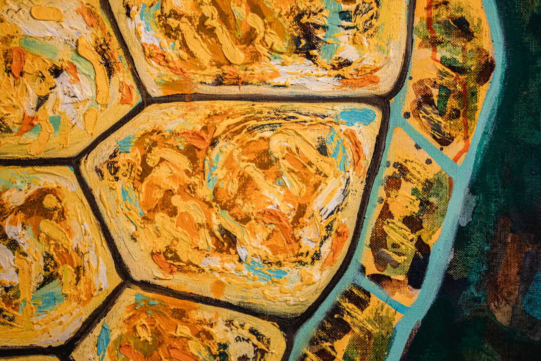 ‘Žabe’ okupirale sv. Krševan: Na zidu su psihodelične, na podu ih je stotine od terakote