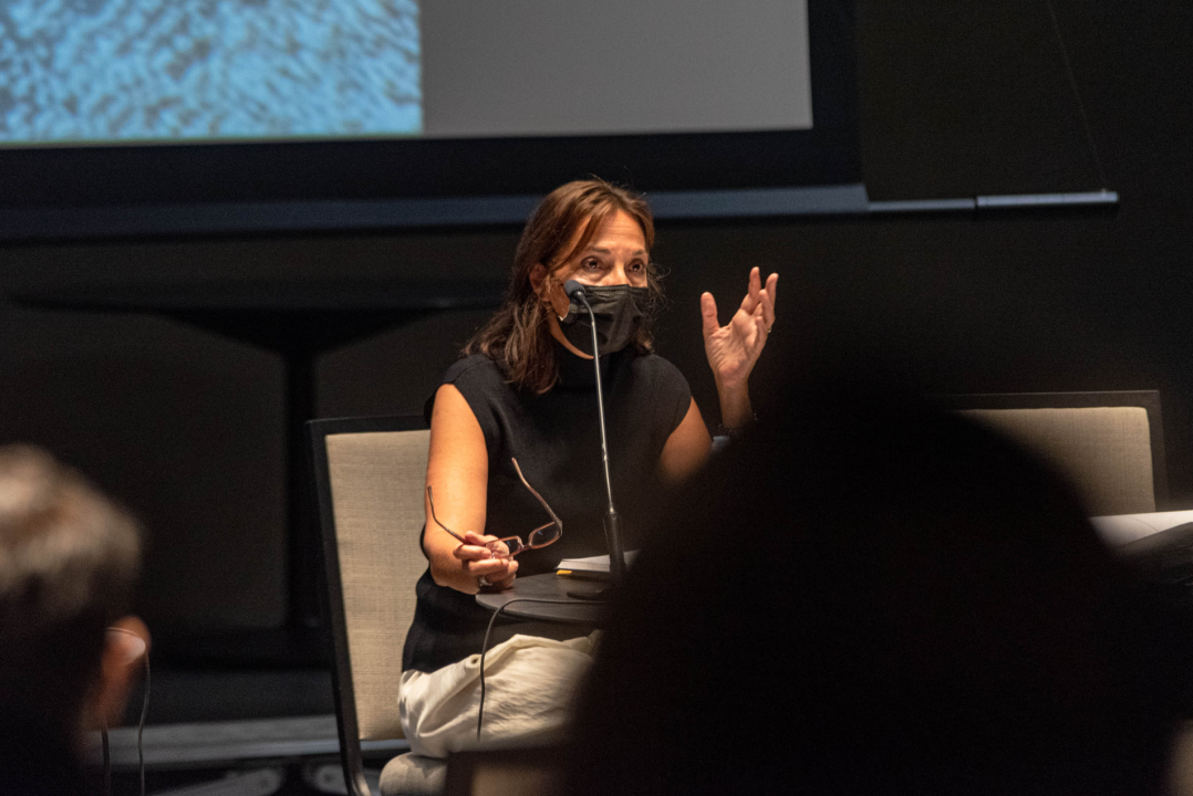 Veliki interes i puno pitanja oko uređenja Doca: Stanari strahuju da se pogoduje investitorima, a da će riva i dalje plaviti 