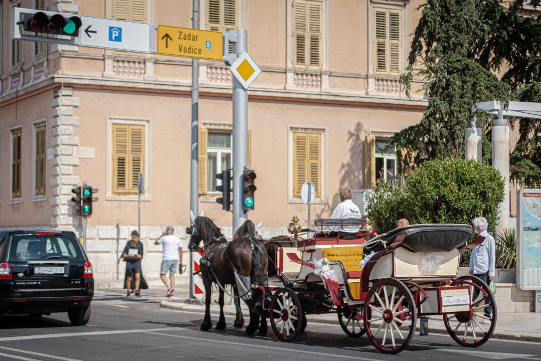 Vjenčanje na belgijski način: Dvije frizijske kobile kaskale centrom grada i rivom  