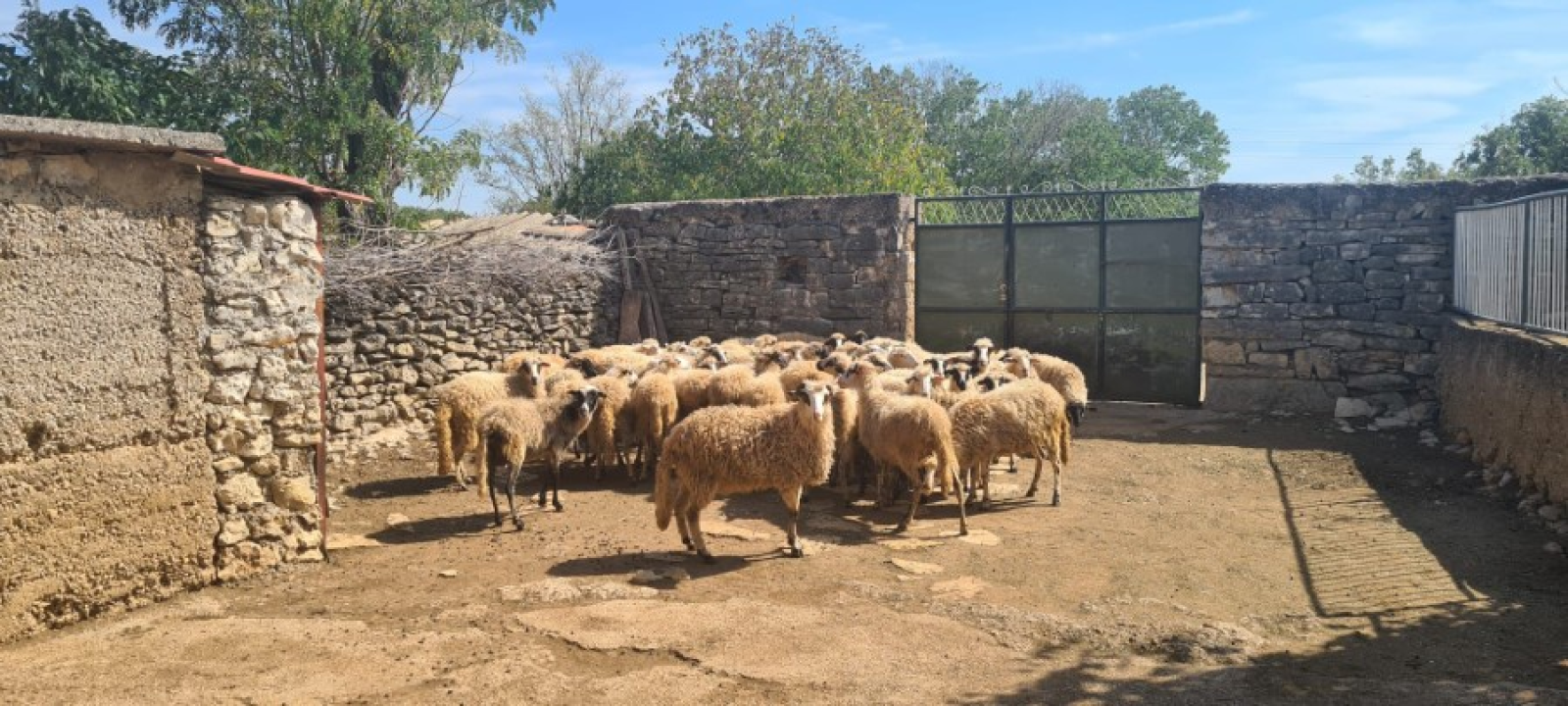 Župan Marko Jelić obišao poljoprivrednike u Biskupiji, Erveniku i Kistanjama 