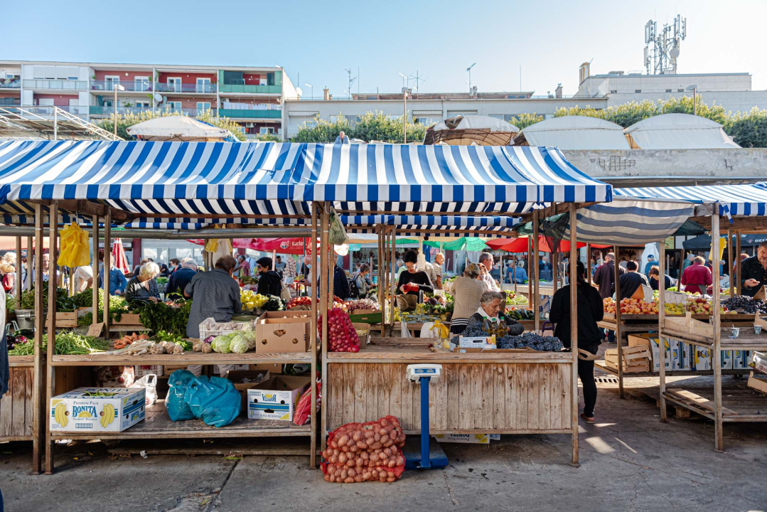 Od ogromnih kokota i mola sa šibenske peškarije dalo bi se skuhati juhu za omanji bataljun  