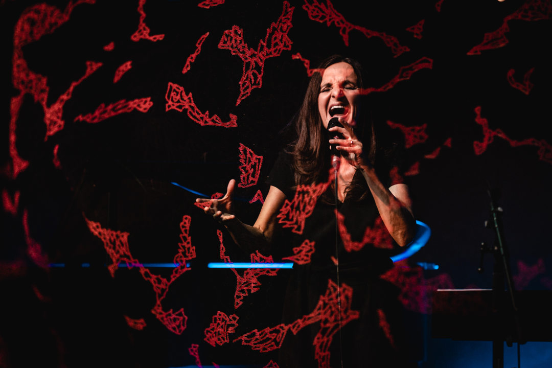 Tamara Obrovac Transadriatic Quartet Šibenčane odveli na jazz etno putovanje