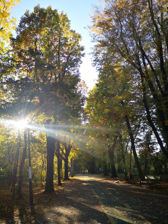Bukurešt- četiri dana, 2220 kuna: Pariz istoka itekako vrijedi posjetiti, pogotovo kad avionsku kartu platite 8 eura  