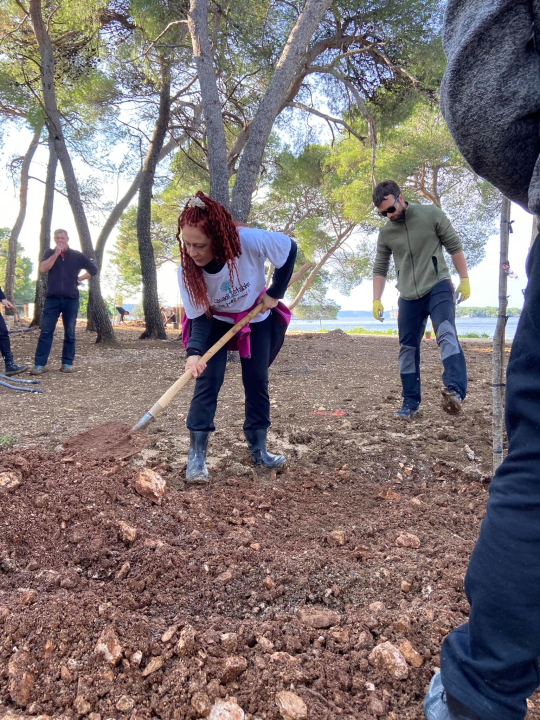 Šibenski volonteri s kolegama iz Europe zasadili mlada stabla u uvali Minerska u kanalu