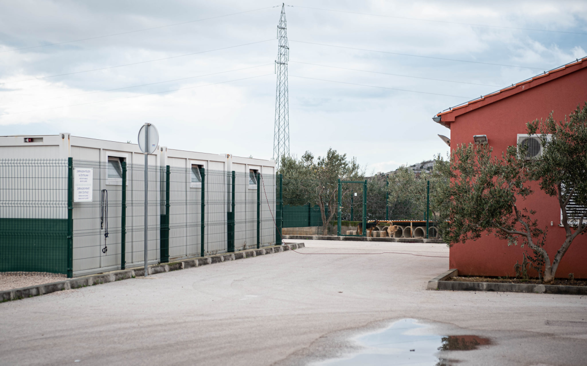 Reportaža iz As-Eka:  Malik, Mrva, Lisac, Stela... i oni bi s nekim ušli u Novu godinu!