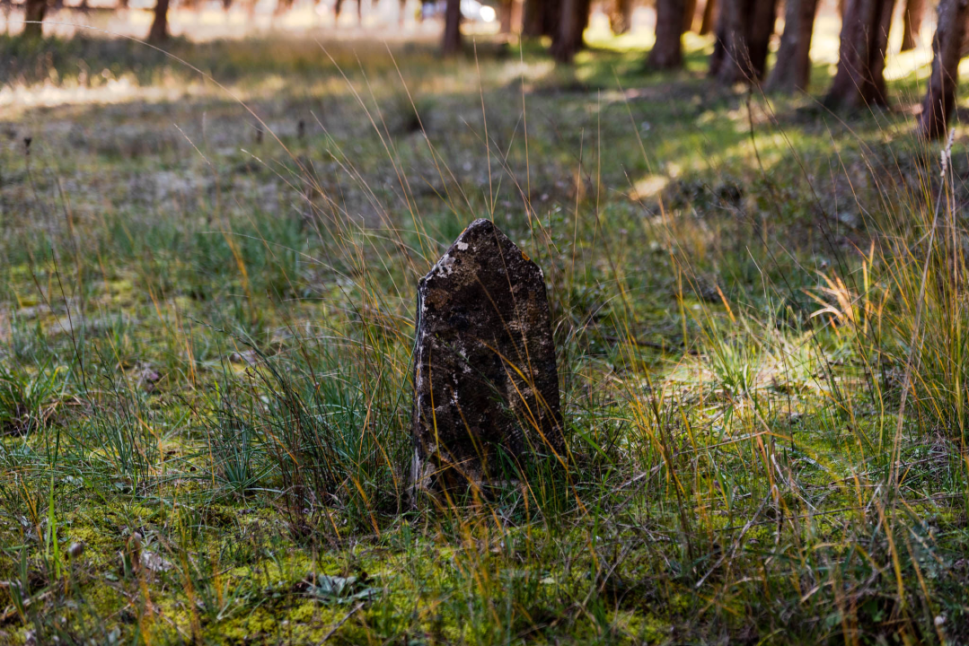 'To groblje je poput Pandorine kutije, bila je i njemačka krim policija': Na Raskrižju su posljednje počivalište našli i partizani i fašisti