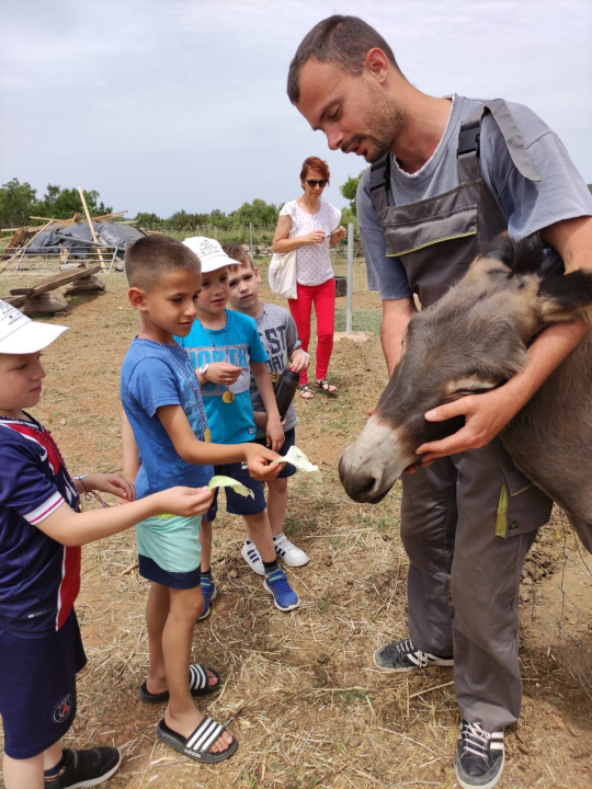 Tovarijada za djecu: Vrtiću Maslina u Tribunju u posjet došli prijatelji iz Benkovca i Trogira