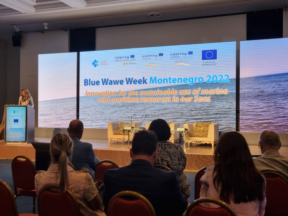 Međunarodna konferencija o Plavom rastu u Budvi u okviru projekta SHIPMENTT PLUS 