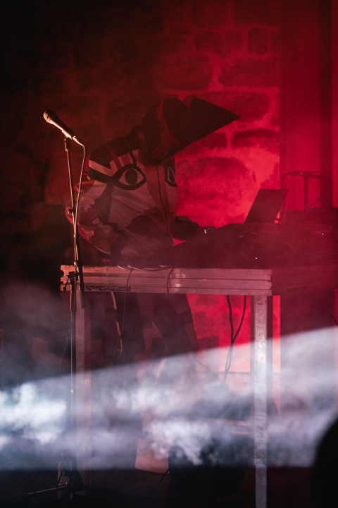 Nema ljubavi u klubu, ljubav je na tvrđavi: Plesnjak za milenijalce uz Buč Kesidi i Nipplepeople