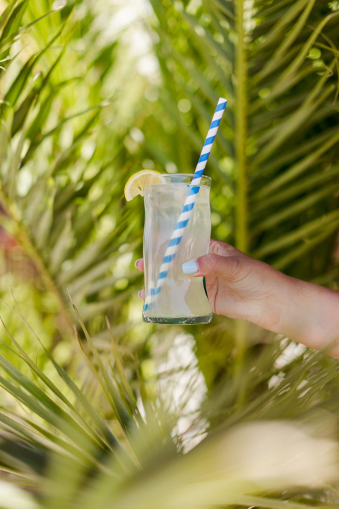 Petrus na Banju u novom ruhu: Uživajte u beach baru &amp; night clubu na najboljoj lokaciji!