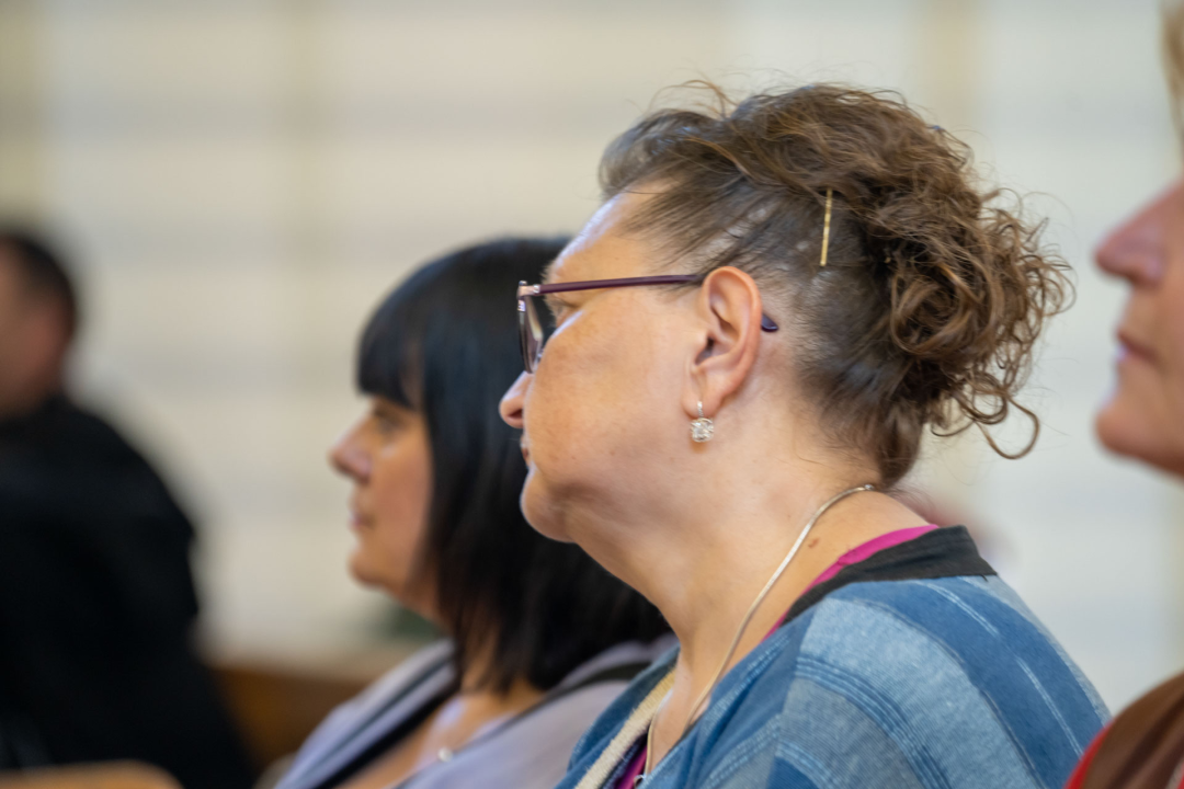 Svečani mimohod, radionice, mačevanje, vatreni show…: Završili ovogodišnji Zvonimirovi dani 