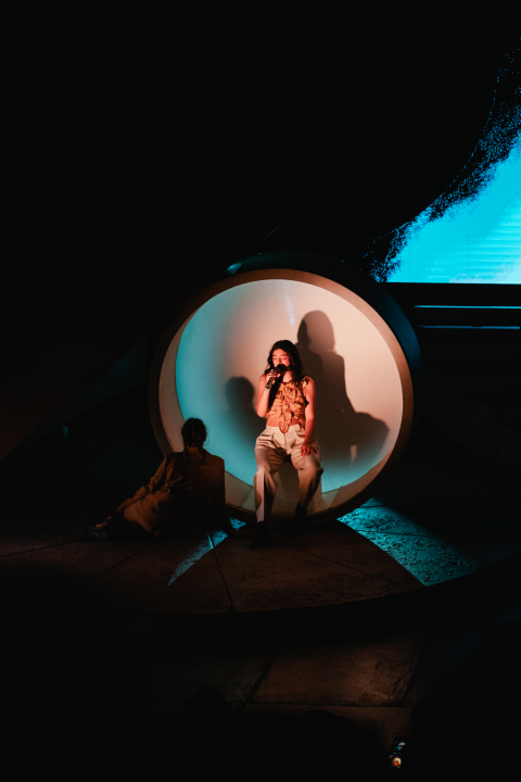 Lorde na tvrđavi sv. Mihovila: 'Htjela sam doći u Hrvatsku, ovdje svi izgledaju kao da su mi brat i sestra' 