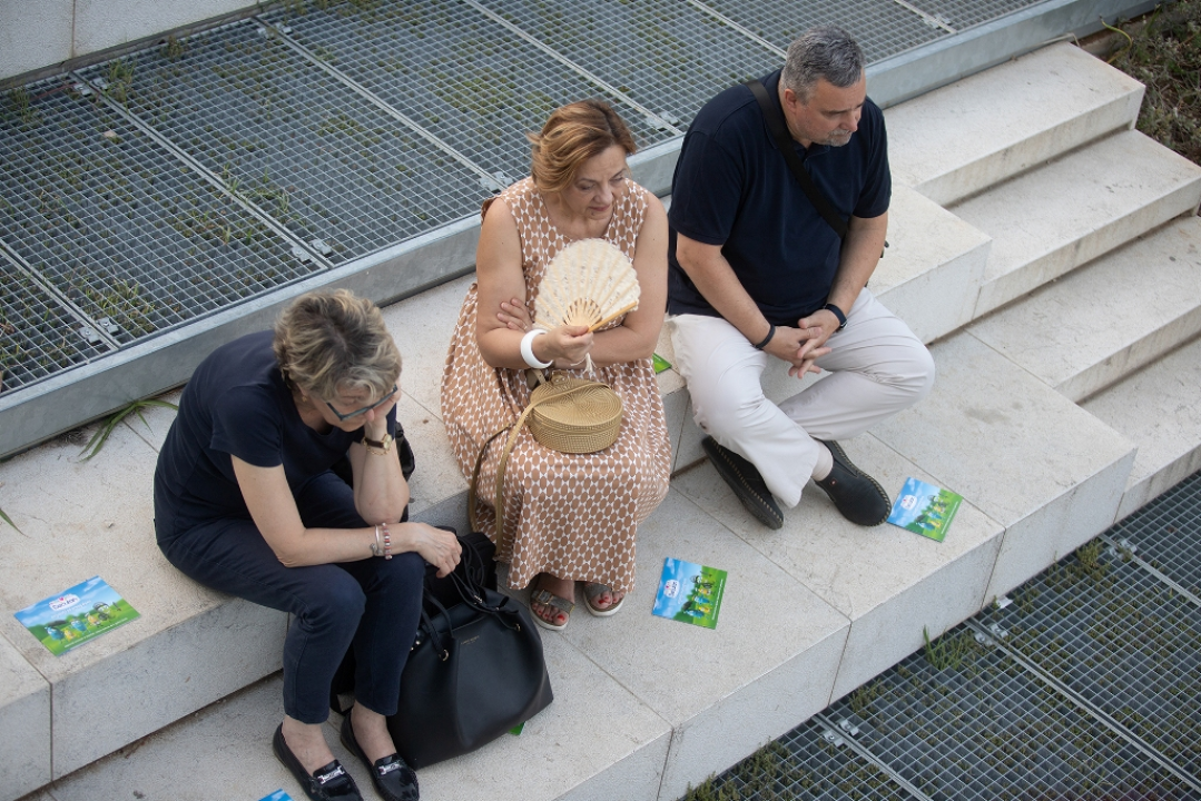 Danas na MDF-u nilski konj Nellie, cirkuski plesni tečaj, dvije predstave i film