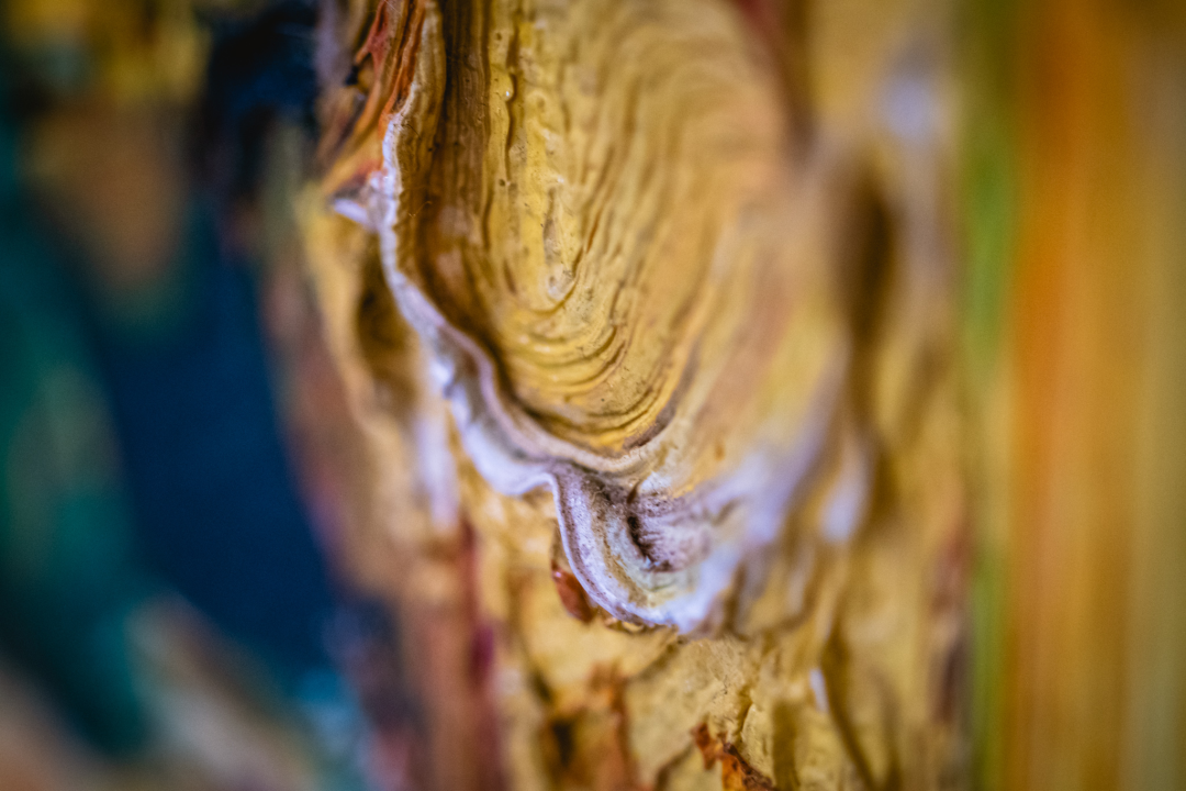 Murtićev apstraktni brod i Vežin pejzaž potražite u Galeriji Juraj Dalmatinac