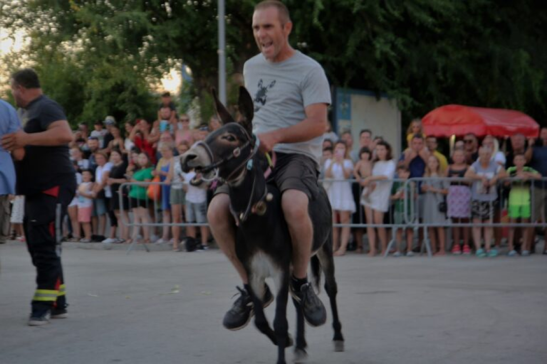 Deva i magarac Grgo pobjednici su trke tovara u Pirovcu