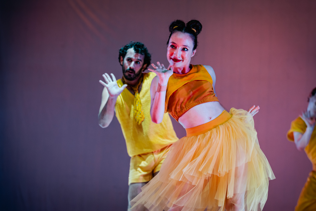 Šibenski plesni festival otvoren vratolomijama: Grad je idućih pet dana plesni centar svijeta